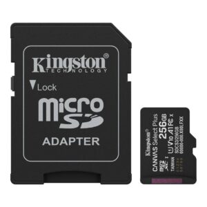 Memoria MicroSDXC Kingston Canvas Select Plus Gen3, 256GB
